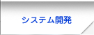 システム開発